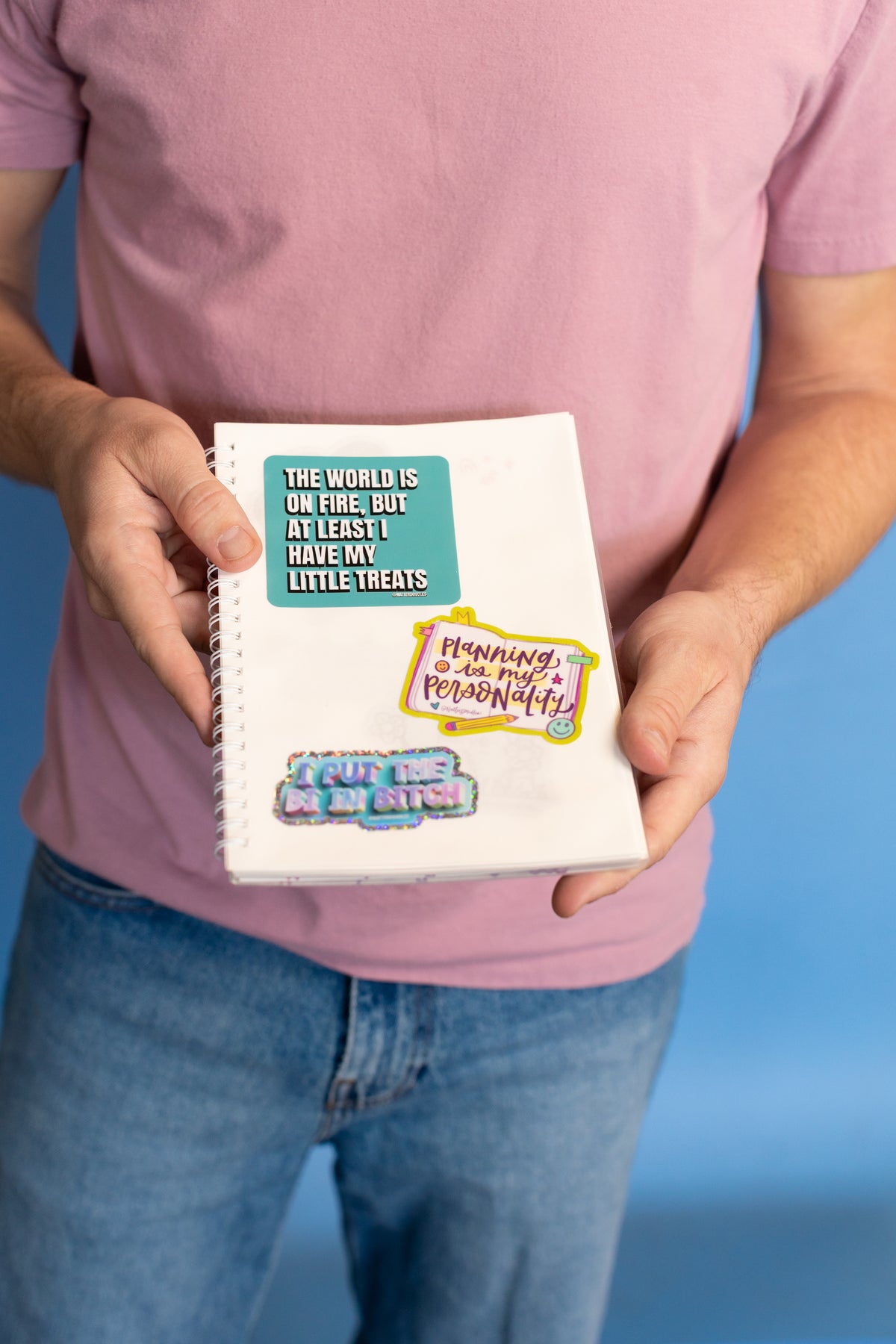 I Put the Bi in Bitch Sticker