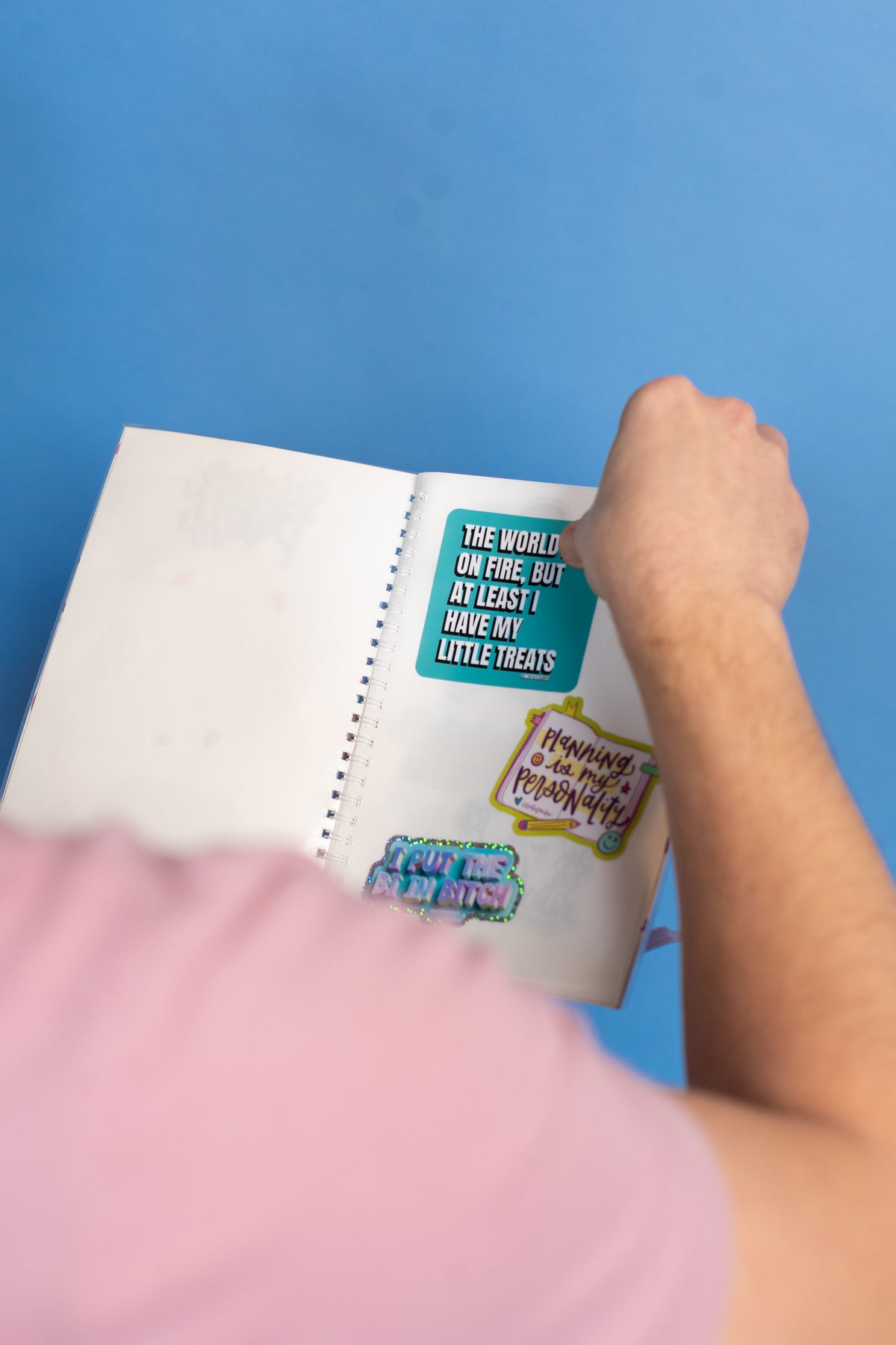 I Put the Bi in Bitch Sticker
