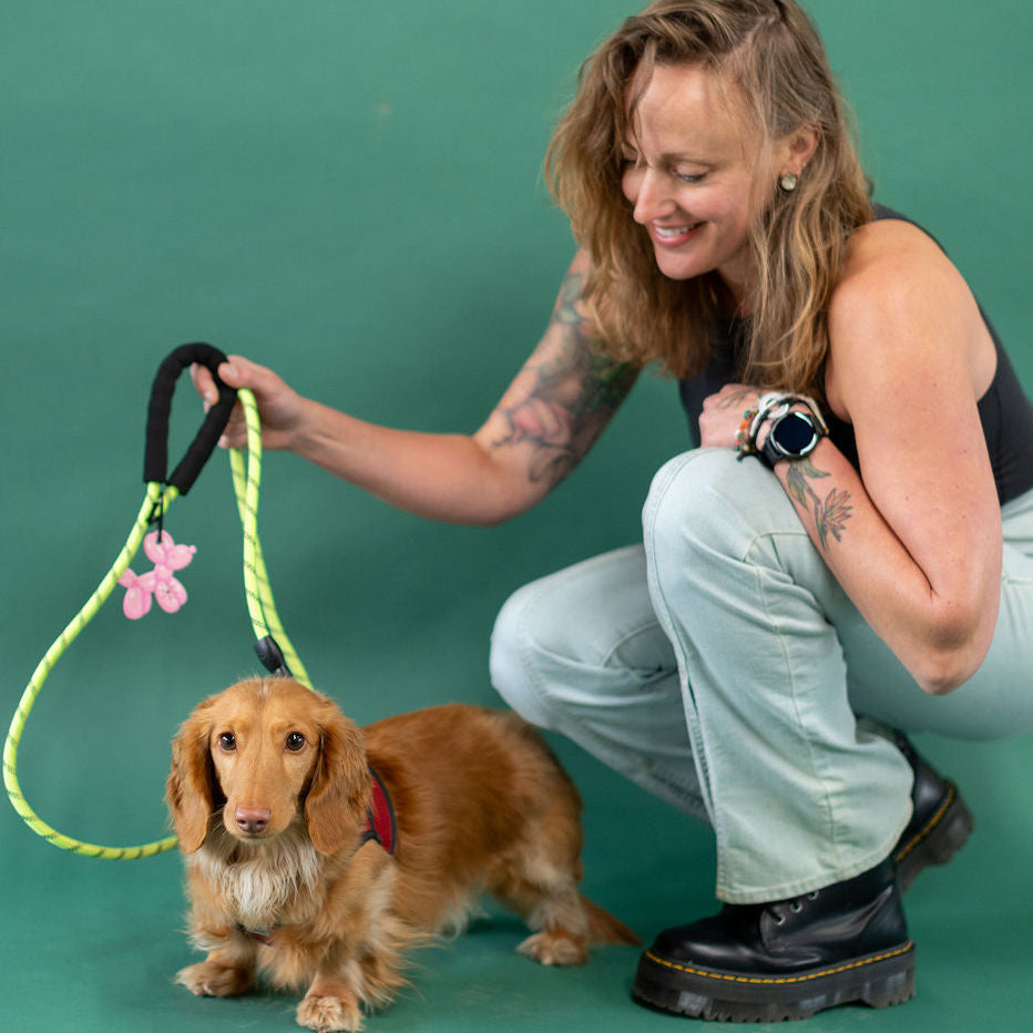Woman with a dog on a green background