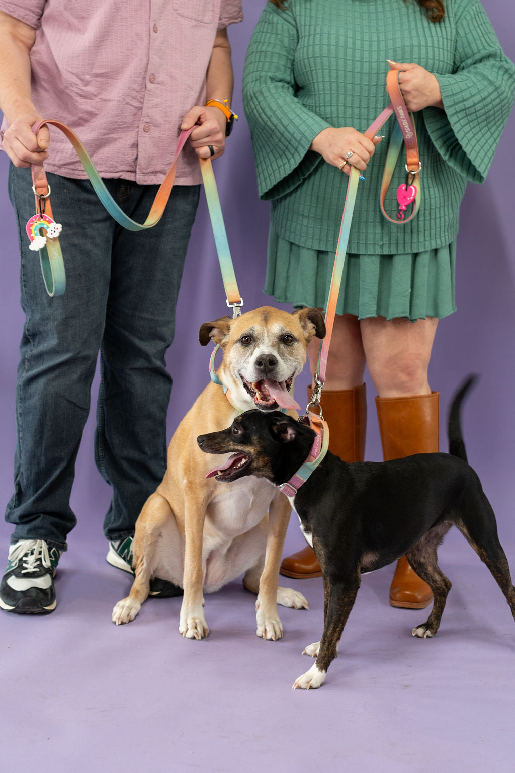Two people with two dogs on leashes against a purple background