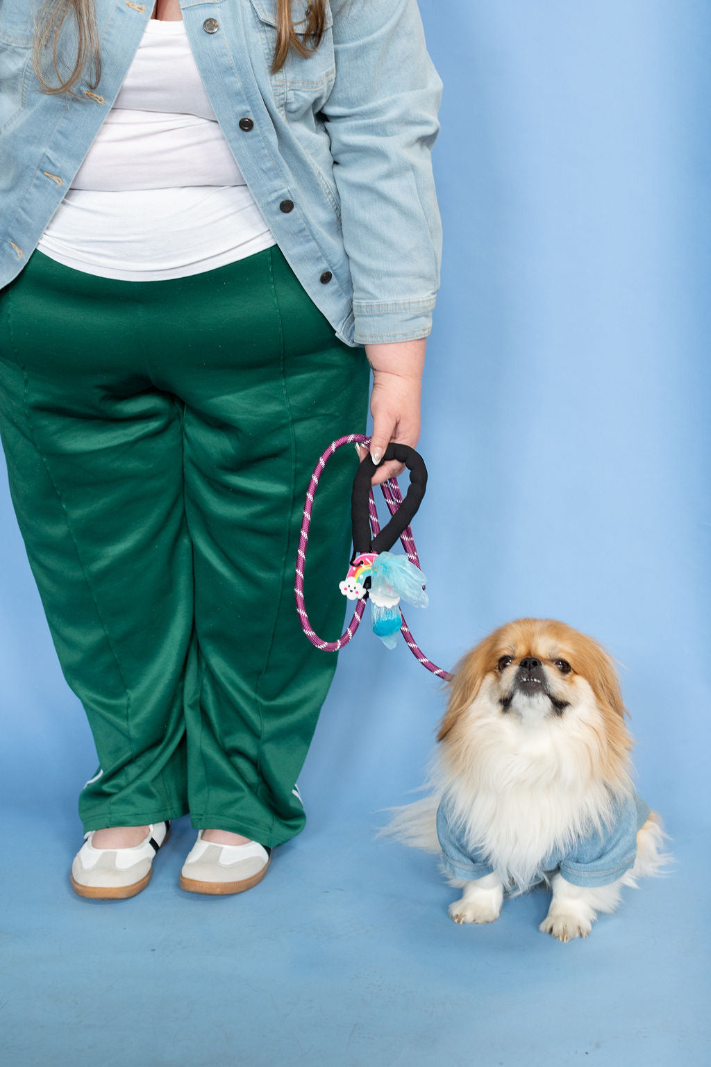 Person in green pants and light blue jacket with a small dog on a blue background