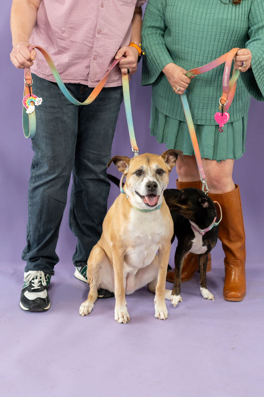 Two people holding leashes with two dogs on a purple background