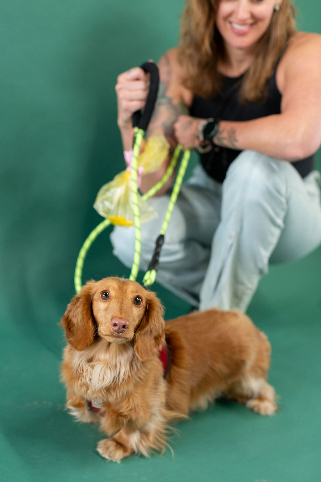 Woman with a small brown dog on a green background