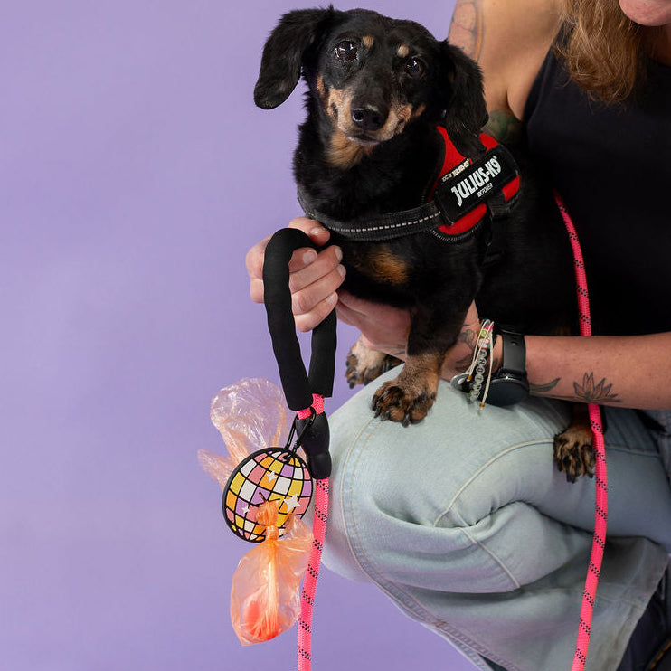 Woman holding a small black dog with a pink leash against a purple background