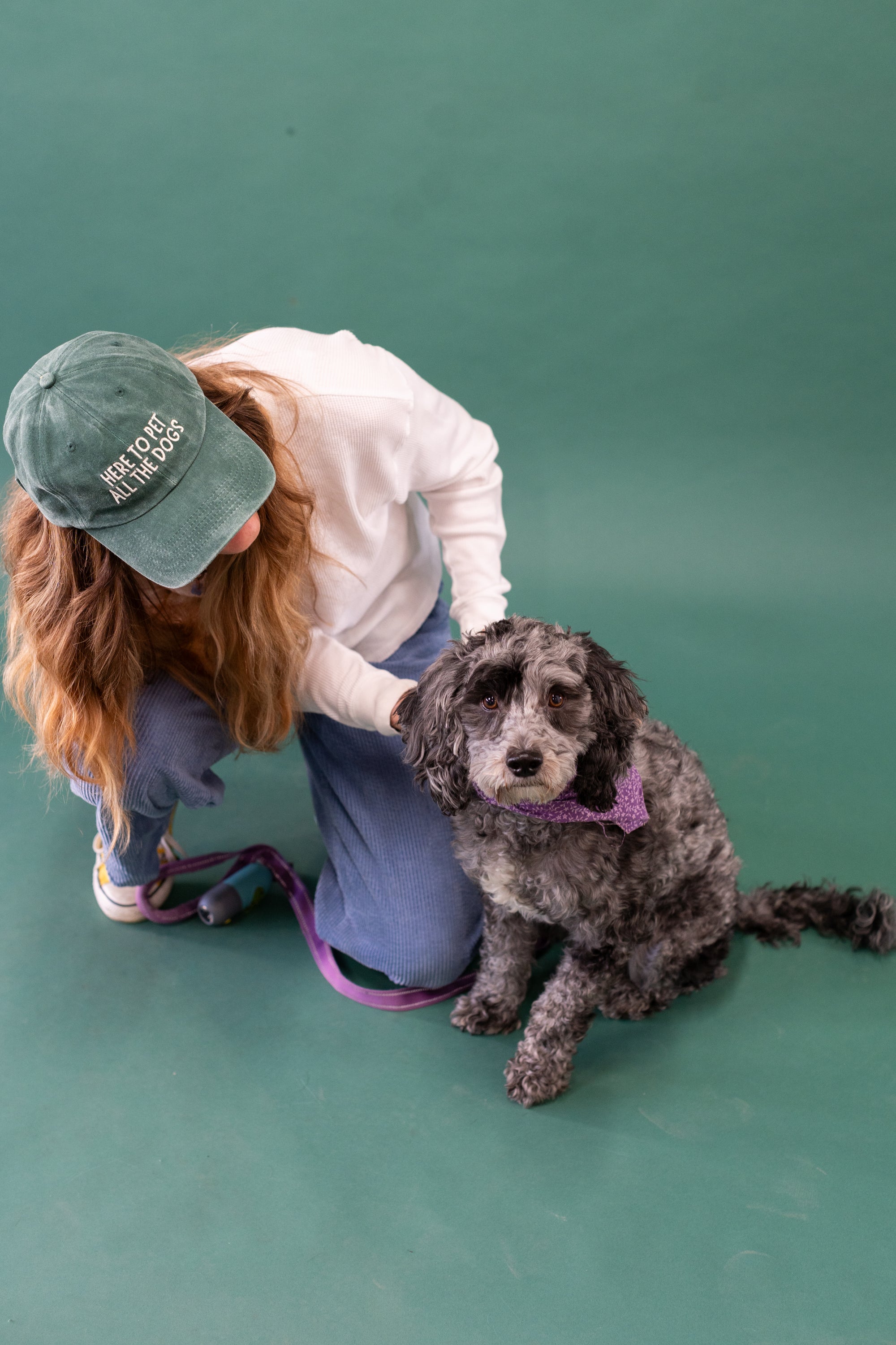 Here to Pet All the Dogs Dad Cap