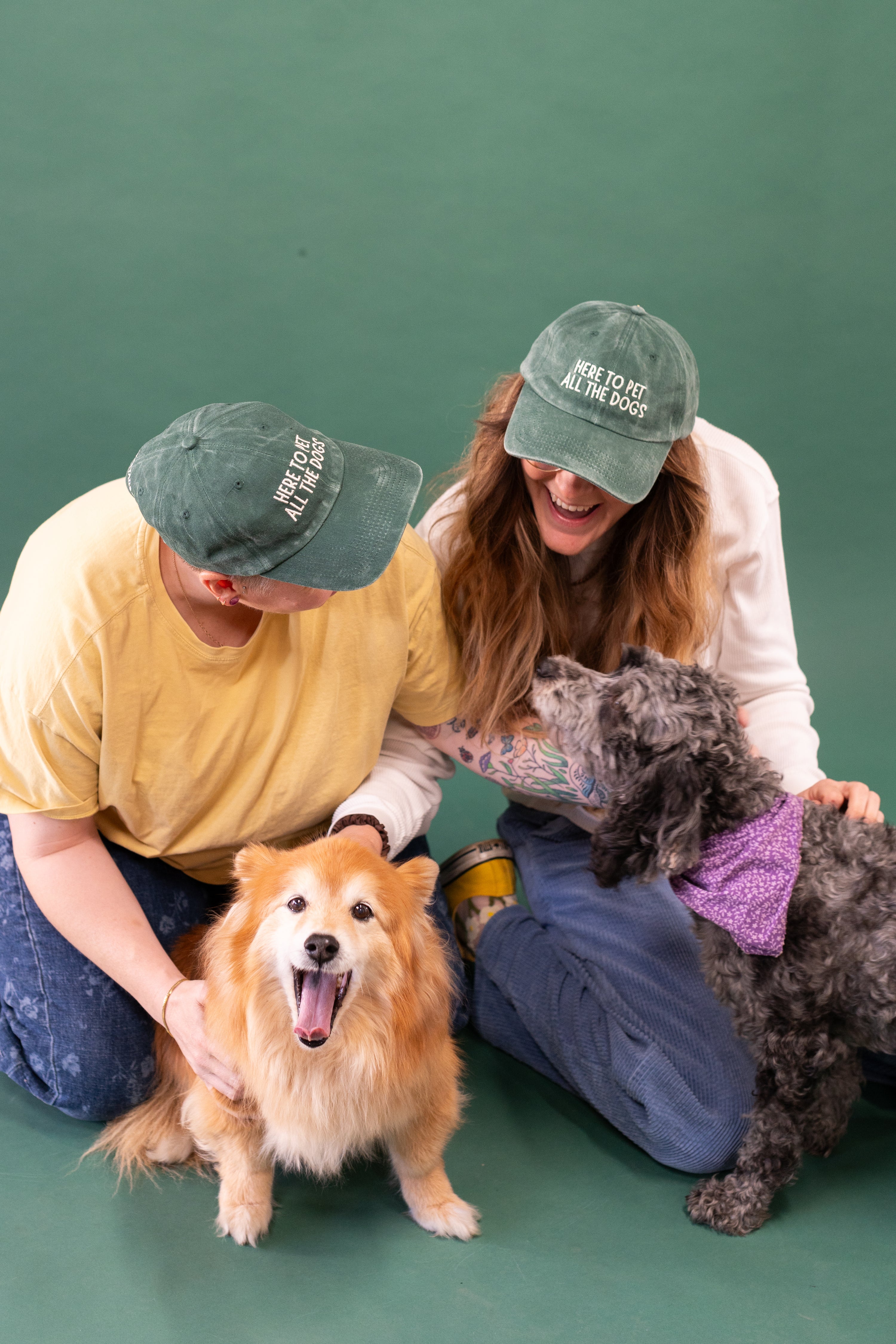 Here to Pet All the Dogs Dad Cap