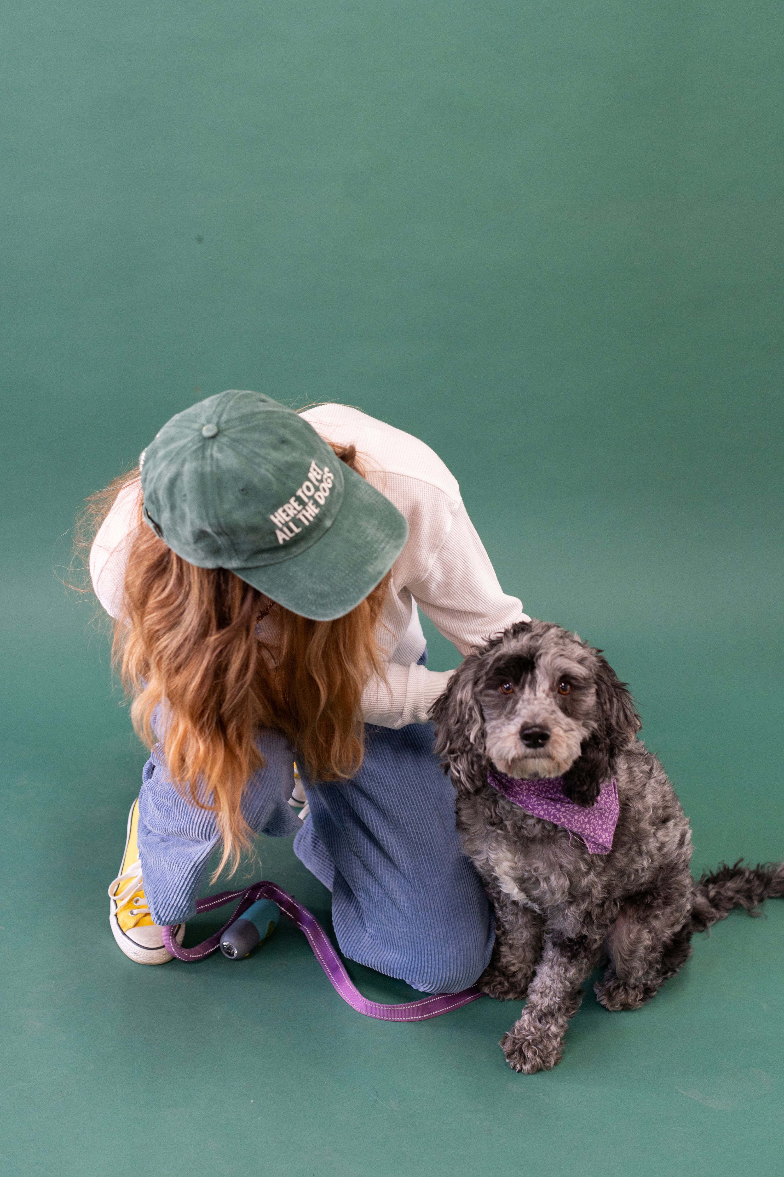 Here to Pet All the Dogs Dad Cap