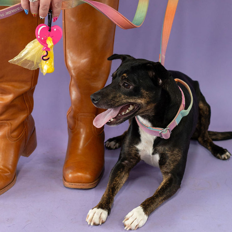 Person in green outfit with brown boots holding a dog on a purple background
