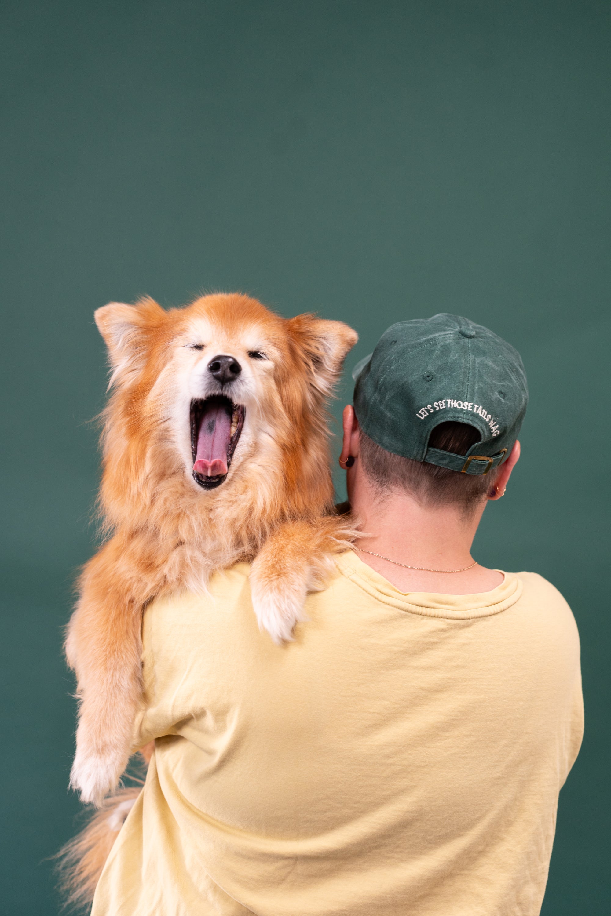 Here to Pet All the Dogs Dad Cap