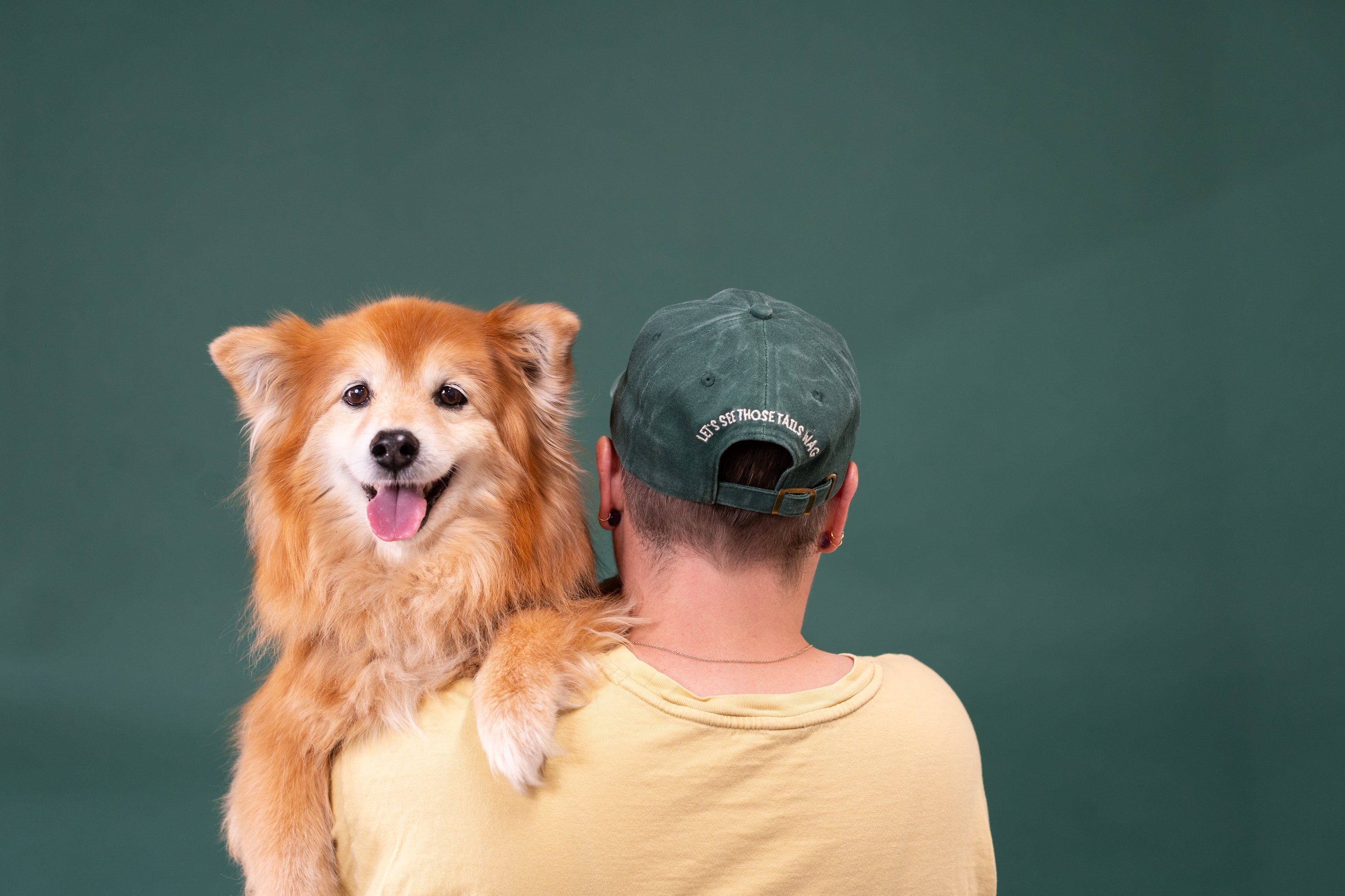 Here to Pet All the Dogs Dad Cap