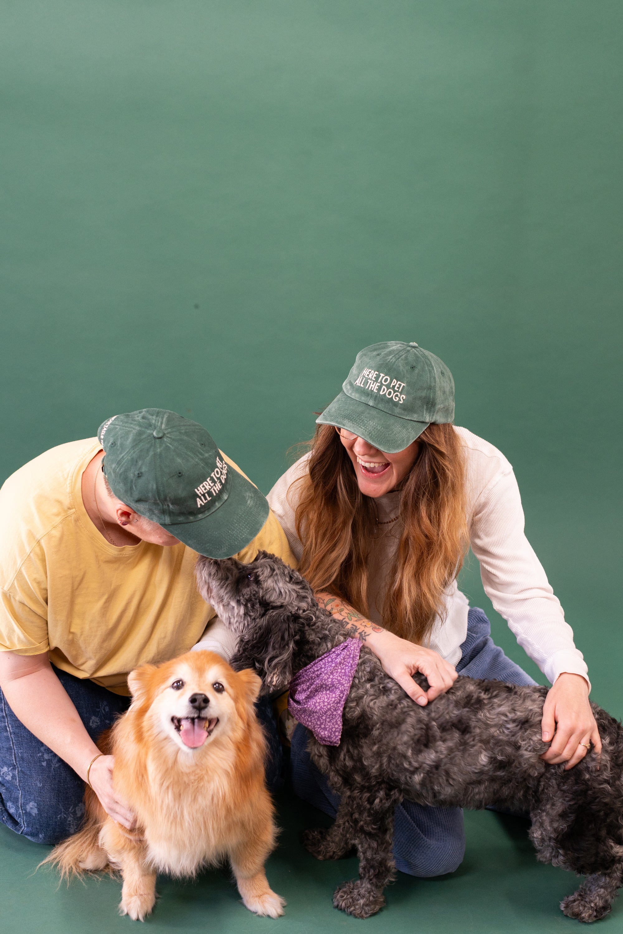 Here to Pet All the Dogs Dad Cap