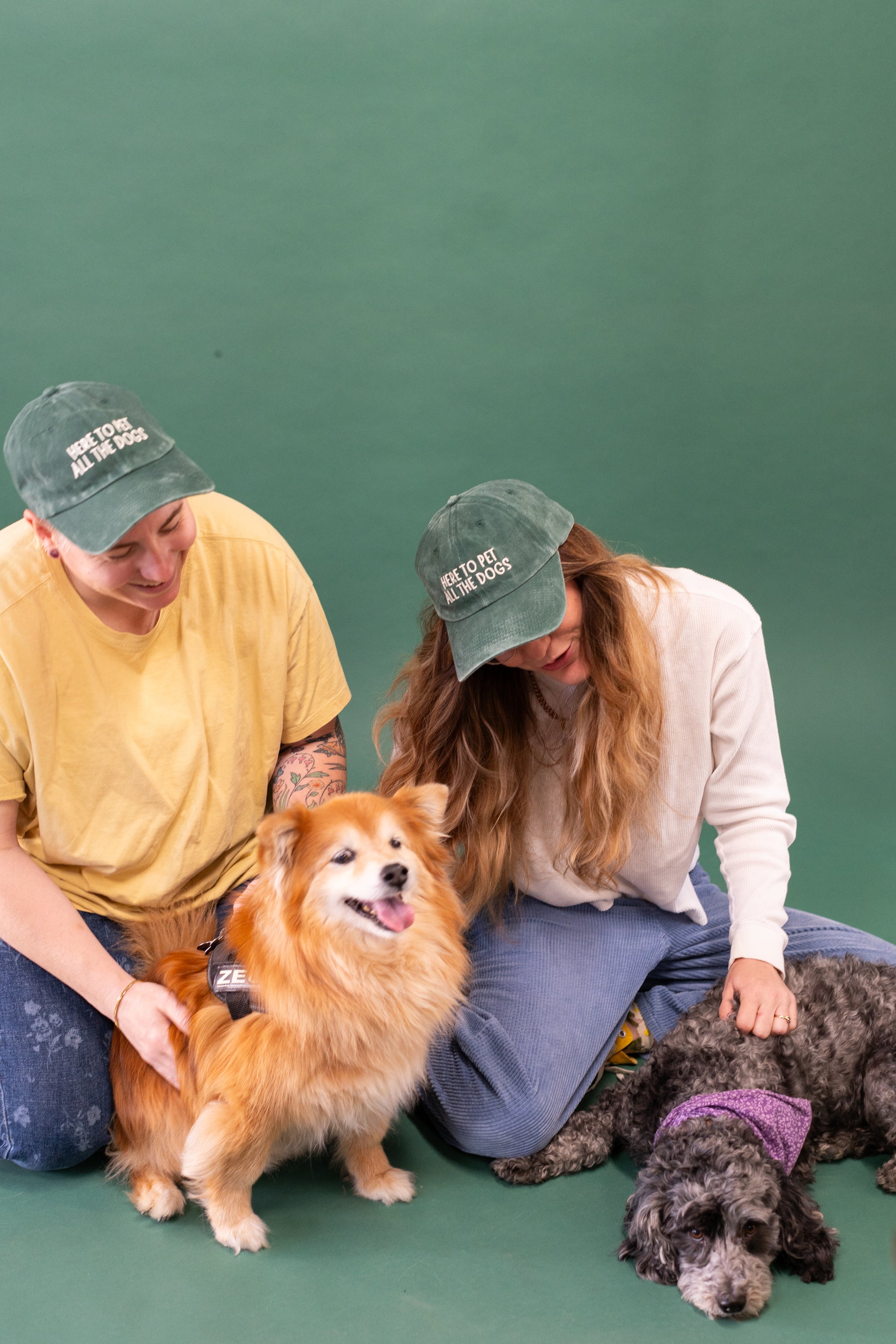 Here to Pet All the Dogs Dad Cap