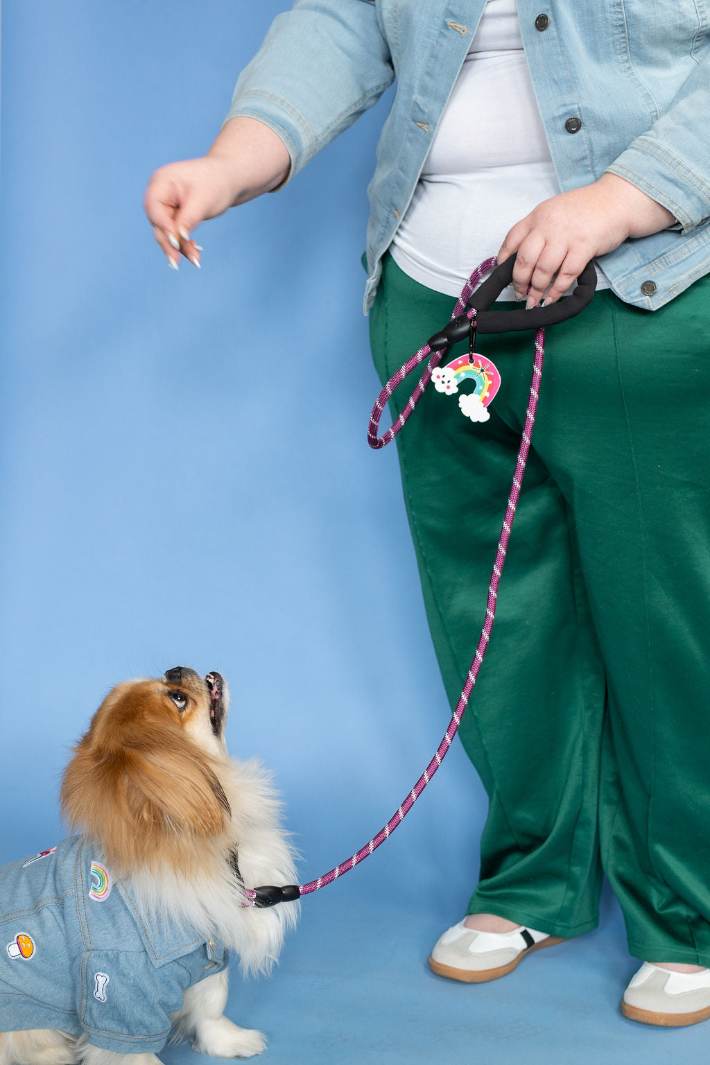 Person holding a dog leash with a small dog on a blue background